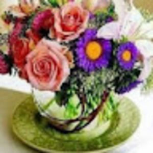 Meet your Posher, Erika